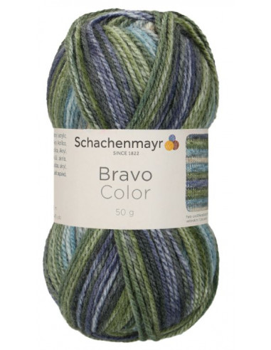 Bravo Color 2122 Grön/Lila/Blå print