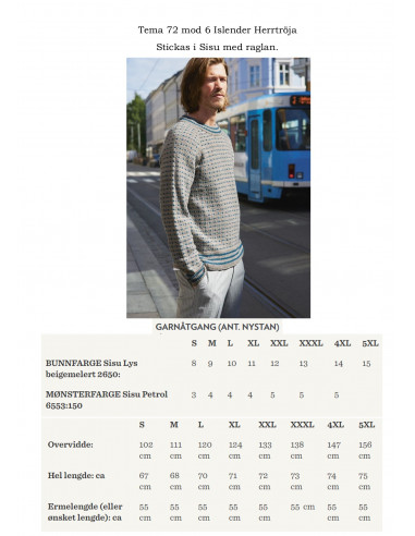 Tema 72 Norska Ikoner Norsk textdel