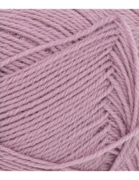 Sunday 4632 Rosa Lavendel