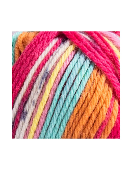 Raggi 100g 220 Dragon Fruit