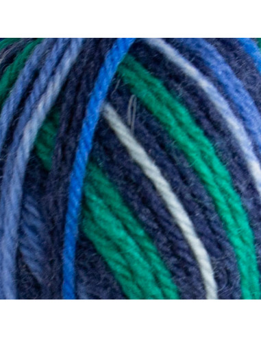 Raggi 100g 210 Blue Anchor Lane