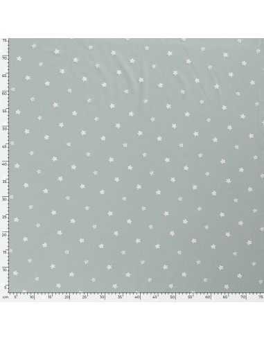 Jersey Starfish ljusgrön