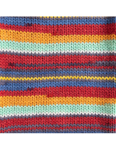 Raggi 100g 225 Strawflower