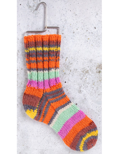 Raggi 100g 224 Aster