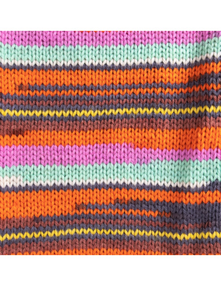 Raggi 100g 224 Aster