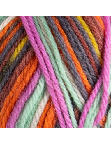 Raggi 100g 224 Aster