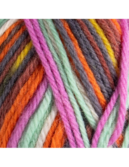 Raggi 100g 224 Aster