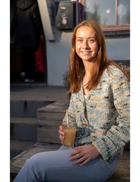 Stickbeskrivning 301-10 Vera Dam