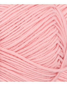 Mandarin Petit 4213 Blossom 2