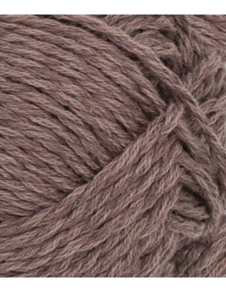 Tykk Line 3161 Ekollon