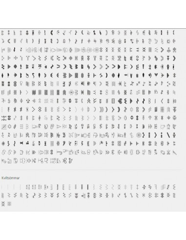 Bernina B 590 VIO inkl. modul