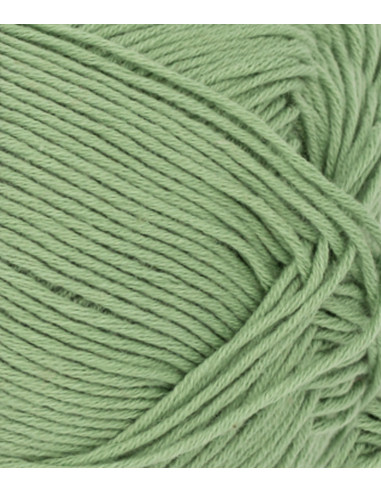 Mandarin Petit 8734 Grön