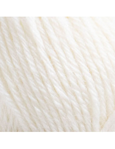 Astrid Lindgren Ilon Wikland 50g 100 Lisas Lamm 2