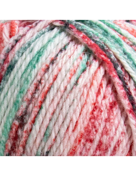 Raggi 100g 261 Chili Chives