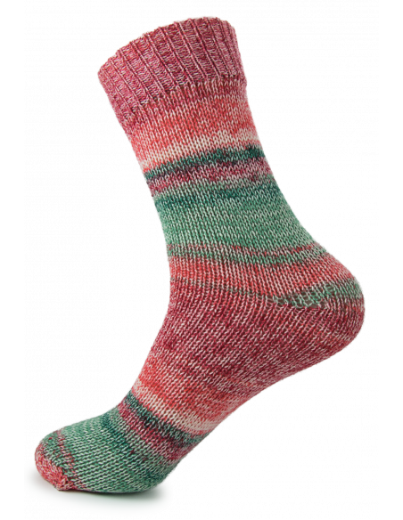 Raggi 100g 261 Chili Chives