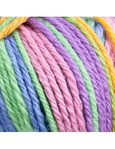 Raggi 100g 259 Party Trick