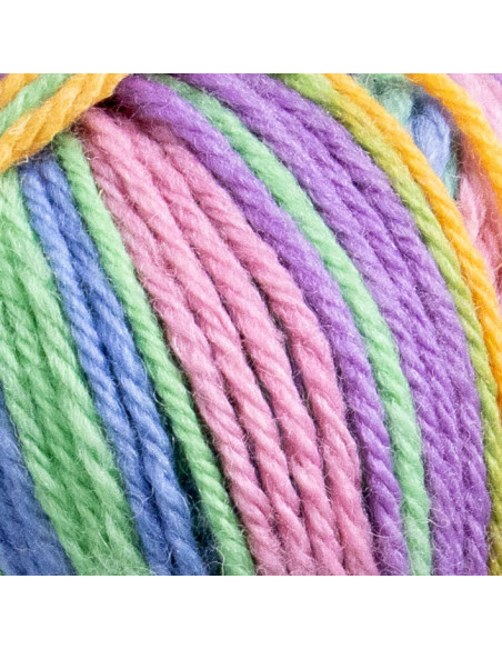 Raggi 100g 259 Party Trick