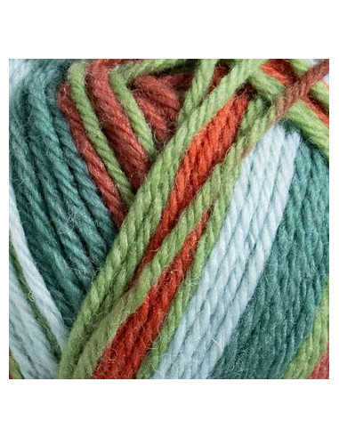 Raggi 100g 267 A Christmas Carol