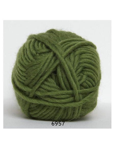 Natur ull 100g 6957 Grön