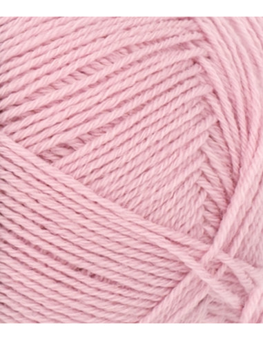 Sunday 4813 Pink Lilac