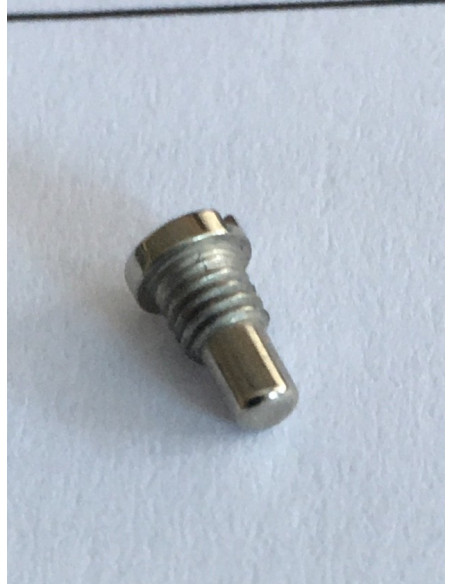 Nålskruv Bernina 1008