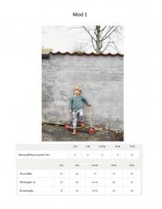 Mönsterhäfte 1906 Merinoull Svensk Text 2