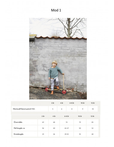 Mönsterhäfte 1906 Merinoull Svensk Text