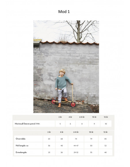 Mönsterhäfte 1906 Merinoull Svensk Text