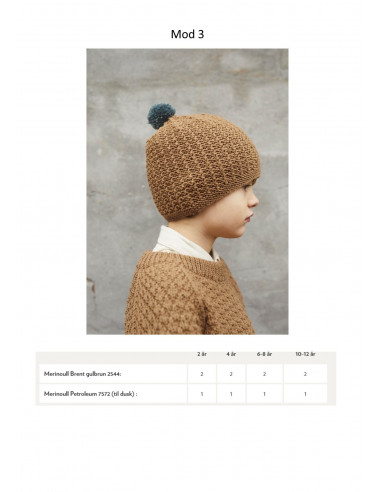 Mönsterhäfte 1906 Merinoull Svensk Text