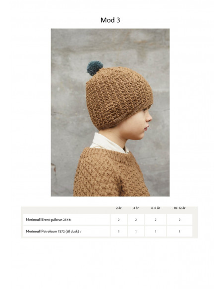 Mönsterhäfte 1906 Merinoull Svensk Text