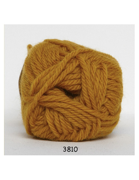 Ragg 50g 3810 Lejongul