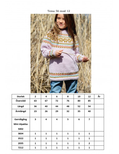 Tema 56 Norske Ikoner Svensk Text