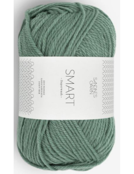 Smart 8051 Eukalyptus