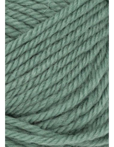 Smart 8051 Eukalyptus