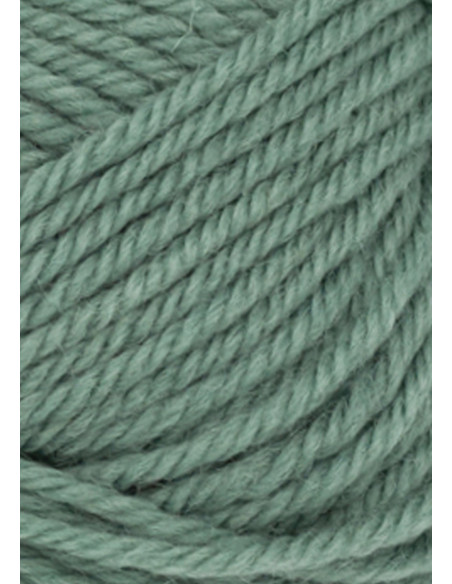 Smart 8051 Eukalyptus