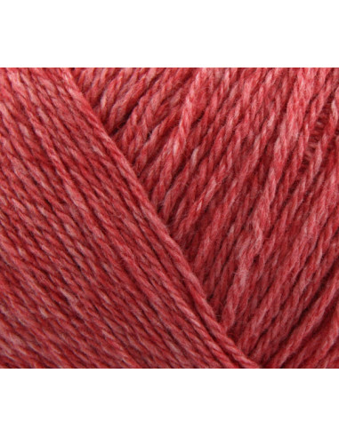 Esther 24 Hallonnröd