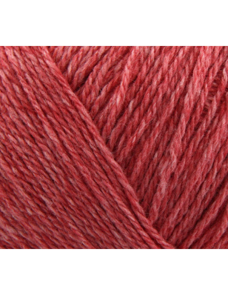 Esther 24 Hallonnröd