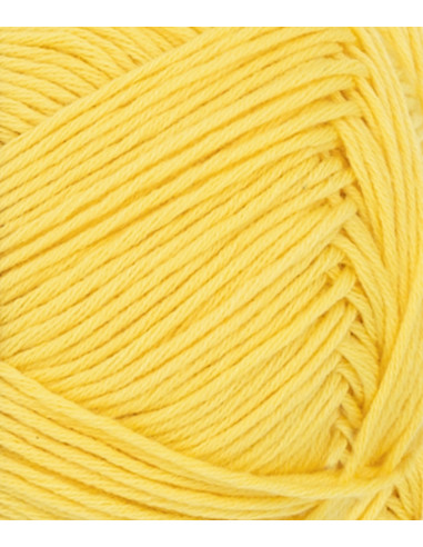 Mandarin Petit 2008 Frihet Gul x