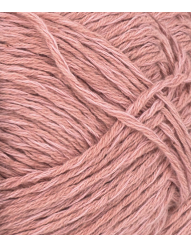 Line 4033 Persikoblomma